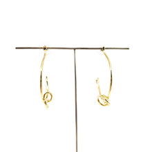 Load image into Gallery viewer, Hoopla Earrings
